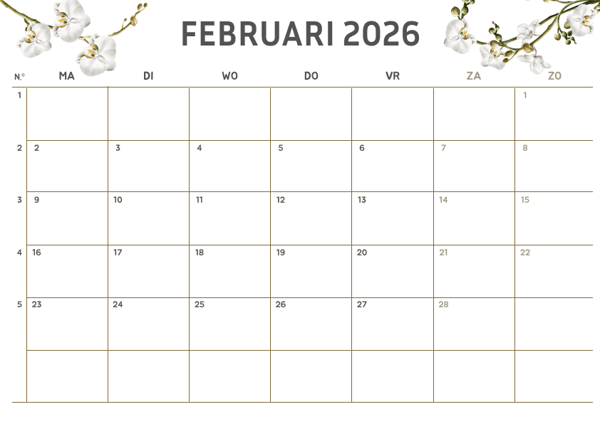 Preview Witte Orchidee Bloemen