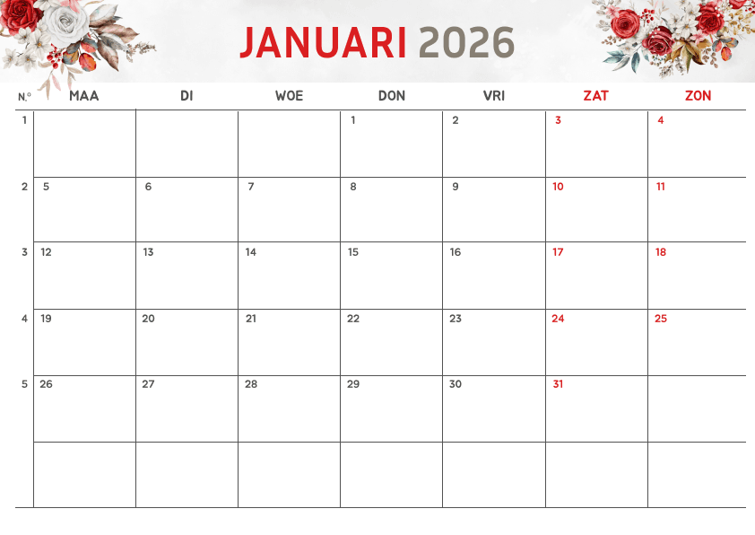 Preview Rode roos bloem