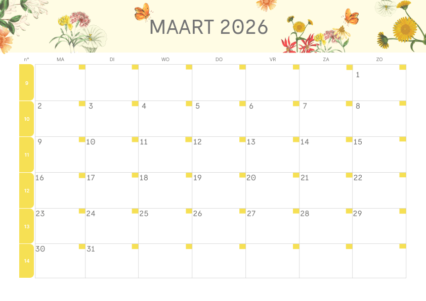 Preview Vlinders en Wilde Bloemen